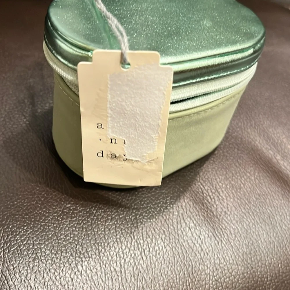 Mint Mini Travel Jewelry Case • Zip Organizer for Rings Earrings Necklace NWT